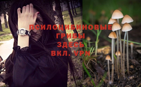 мяу мяу мука Балабаново