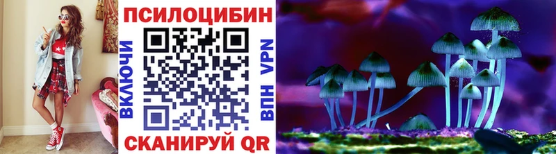 мориарти клад  Макарьев  Псилоцибиновые грибы Magic Shrooms  магазин   