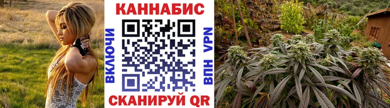 Бошки Шишки THC 21%  где купить   Макарьев 